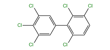 2,3,3',4',5,6-Hexachloro-1,1-biphenyl